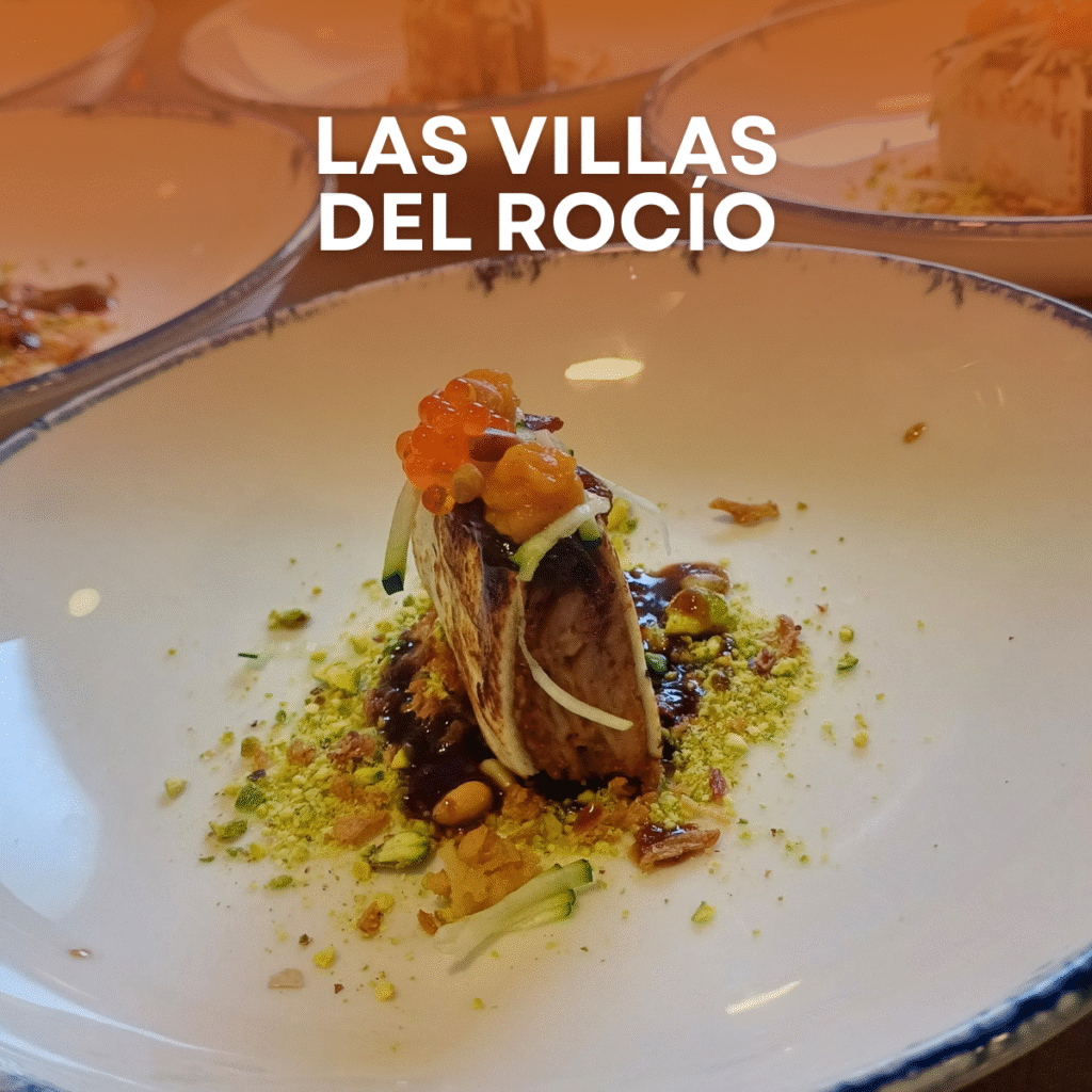 LA RUTA salamanca (11)